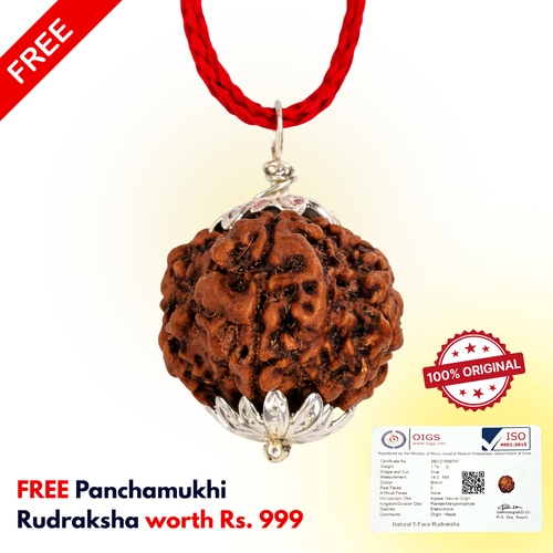 SHREE VRIDHI Panchamukhi Rudraksha 